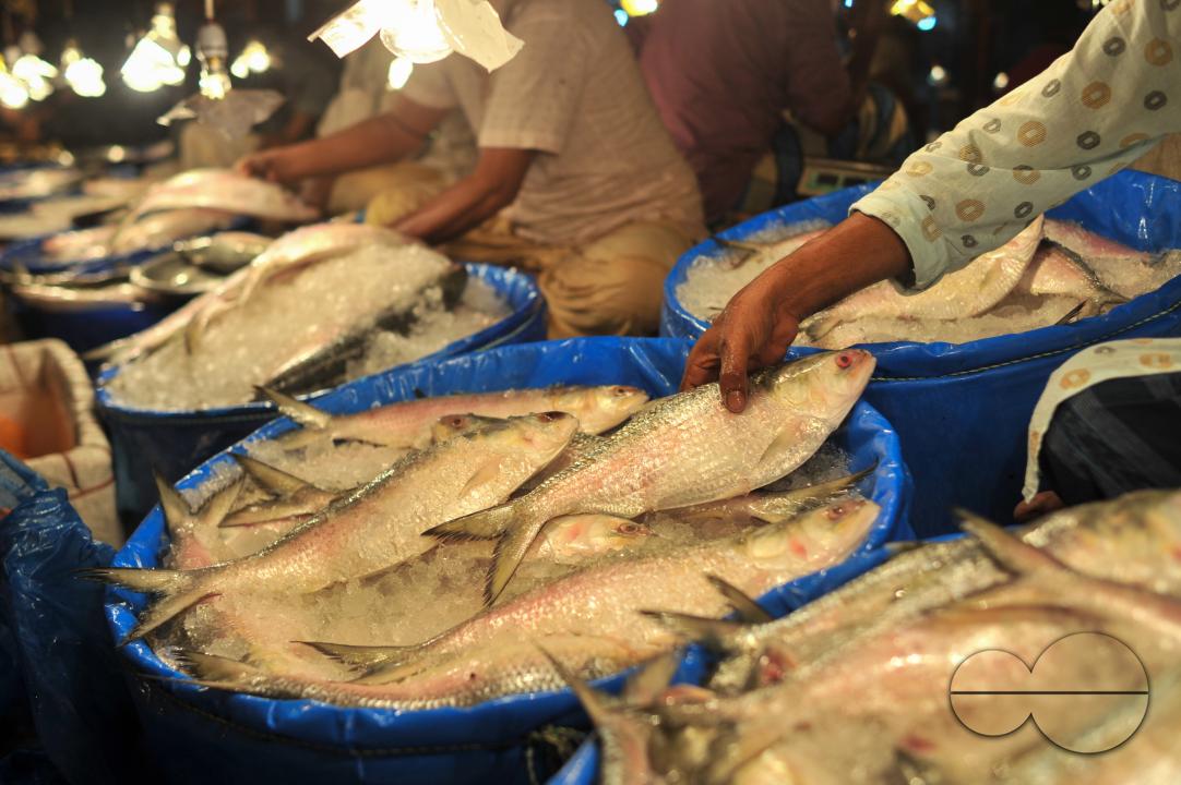 People buy Hilsa fish at the Lalbazar fish market in Sylhet city