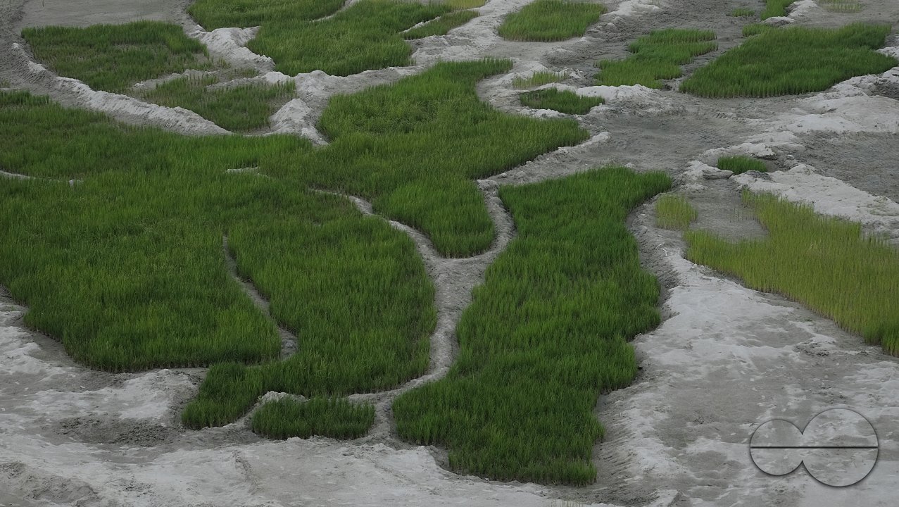 MWC028520