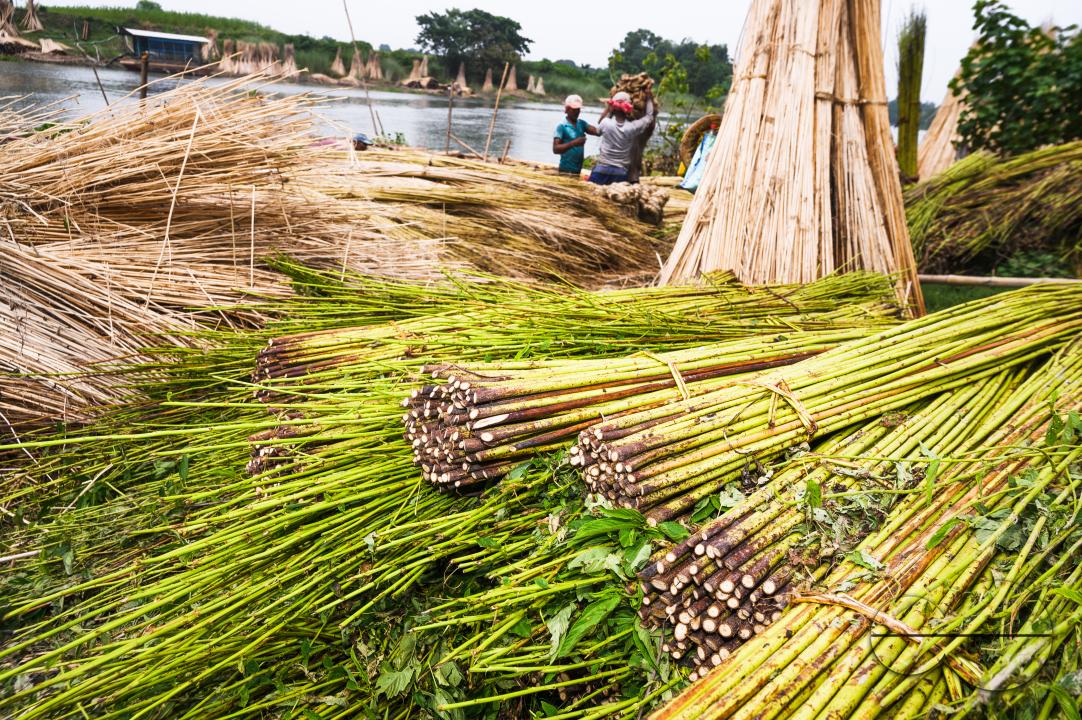 The Asia Pacific region, led by major jute producer India, dominates the Jute Bags Market