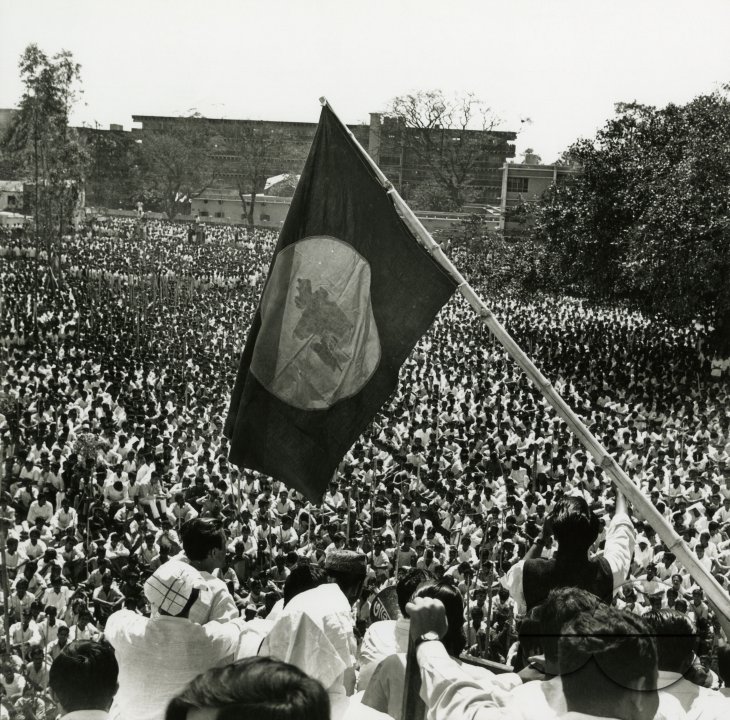 MWC008413