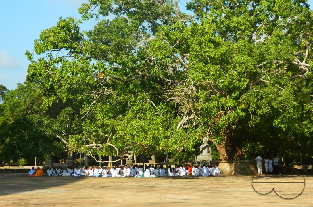 MWC052719