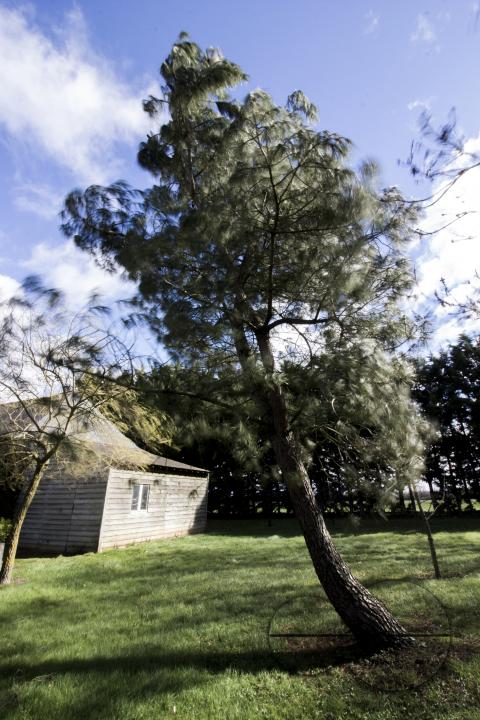 MWC048650