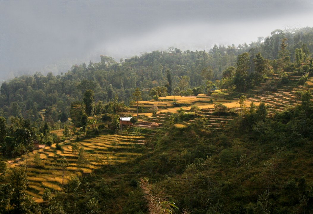 MWC03075