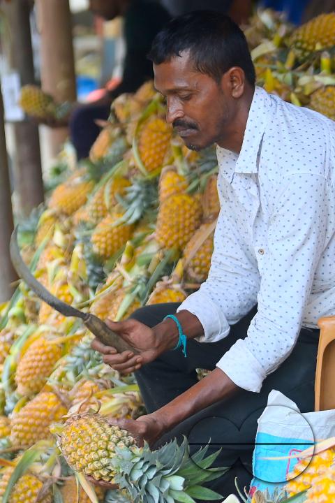 A vendor in Agartala sells fresh pineapples, a renowned summer fruit from Tripura, at a bustling roadside fruit market