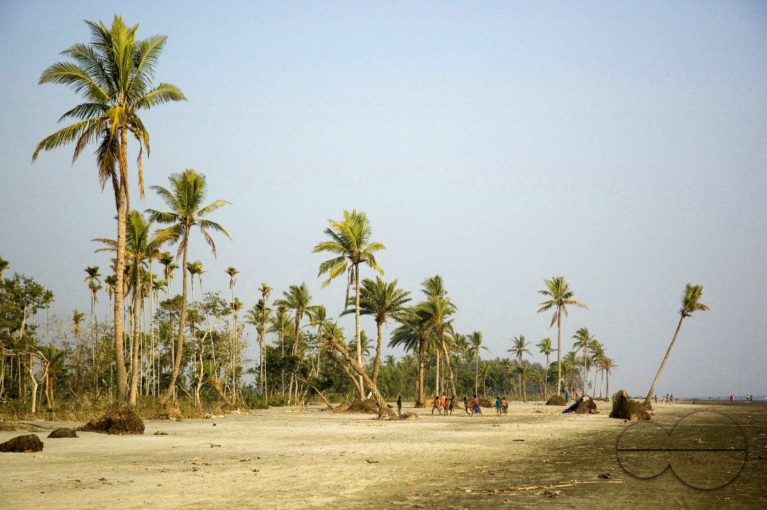 MWC004210