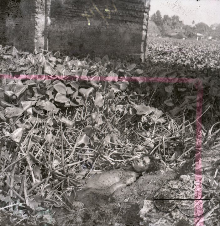 MWC008507