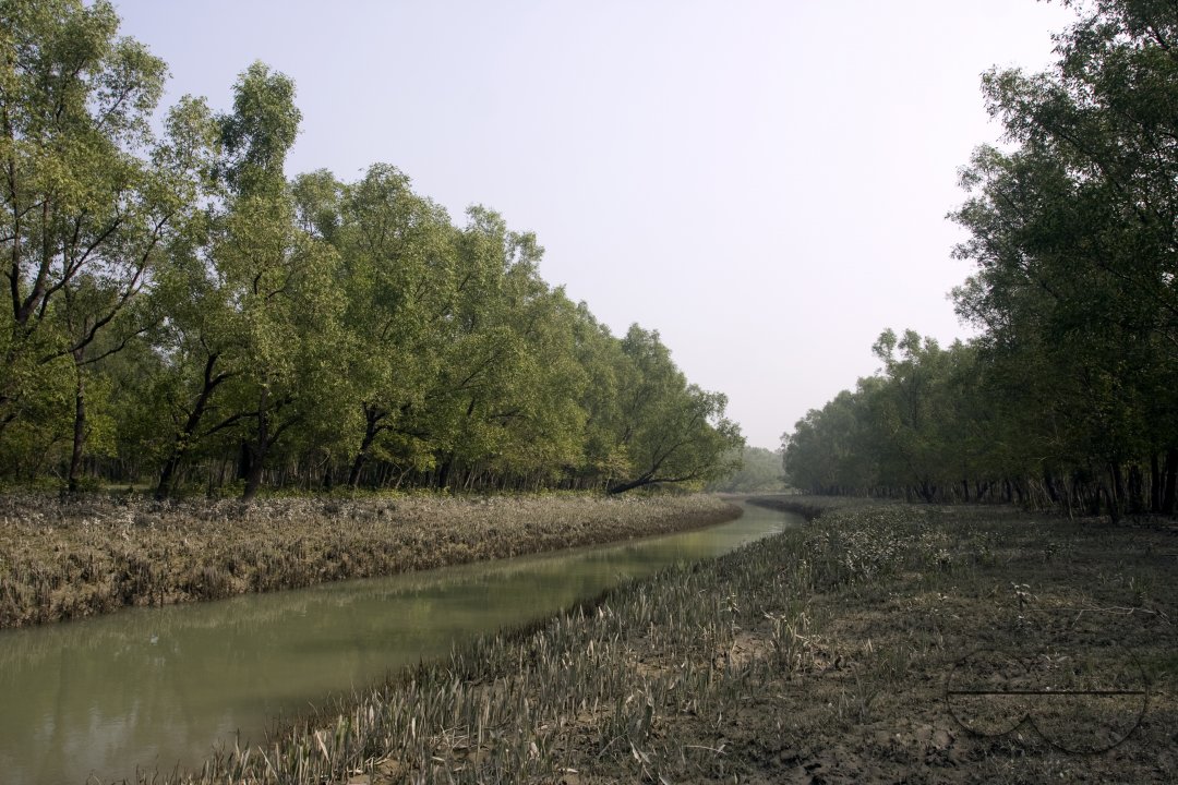 MWC004708