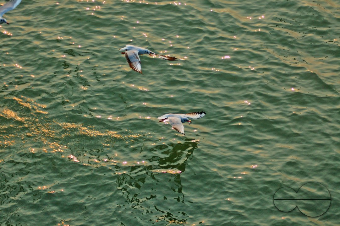 Sundarbans, Khulna, Bangladesh