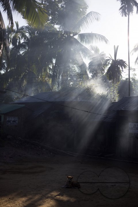 MWC027134