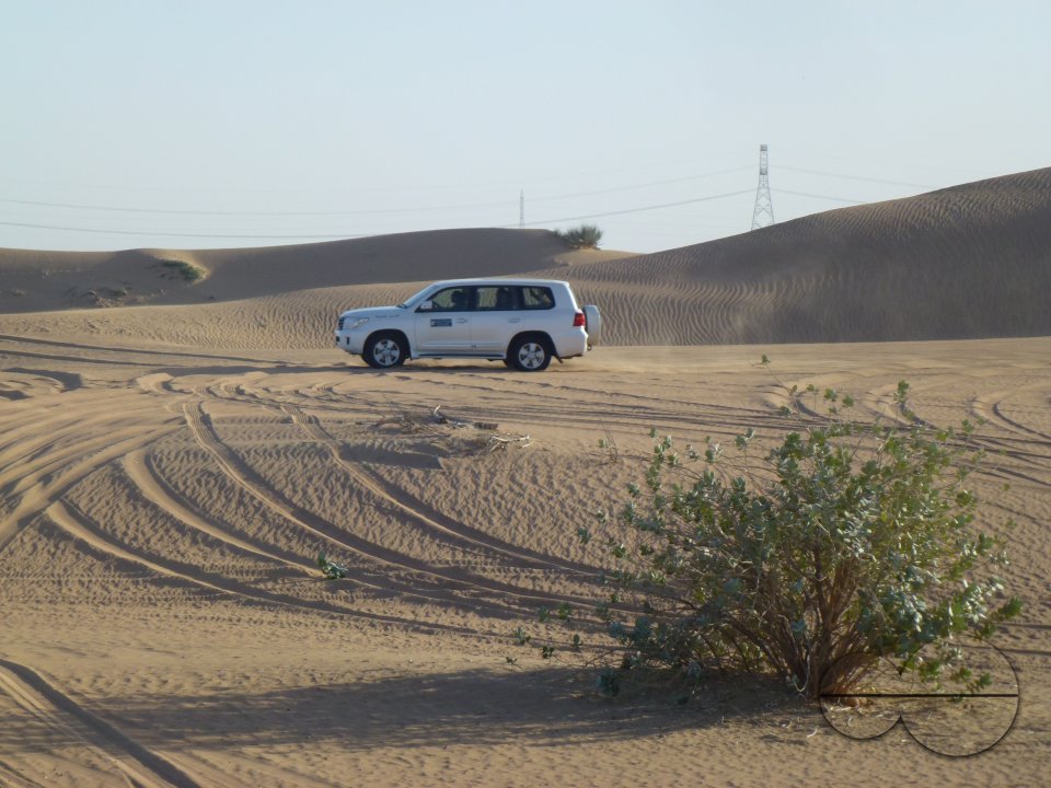 Holiday in Dubai