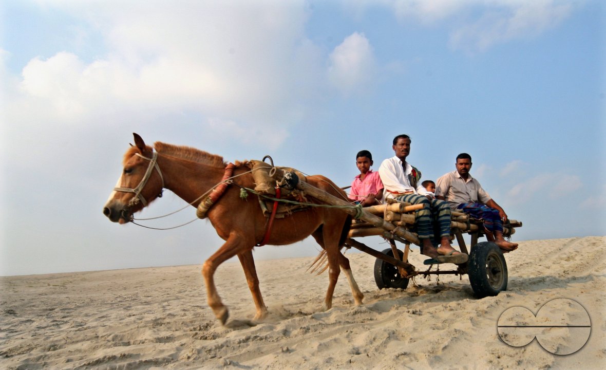 Unusual mode of transportation