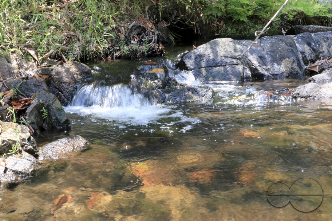 MWC045519