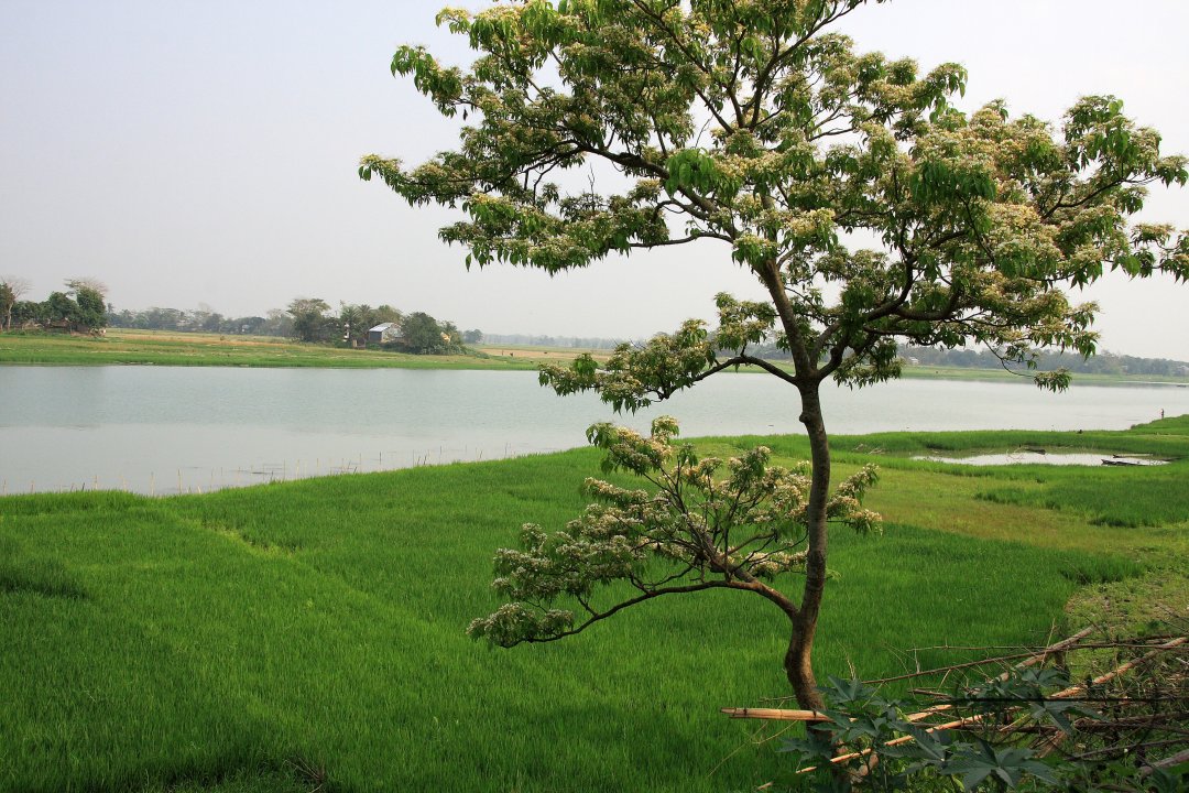 MWC020644