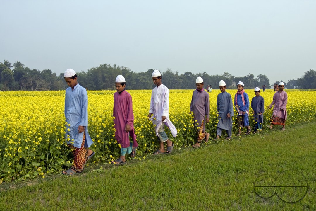 Bangladeshi Birds