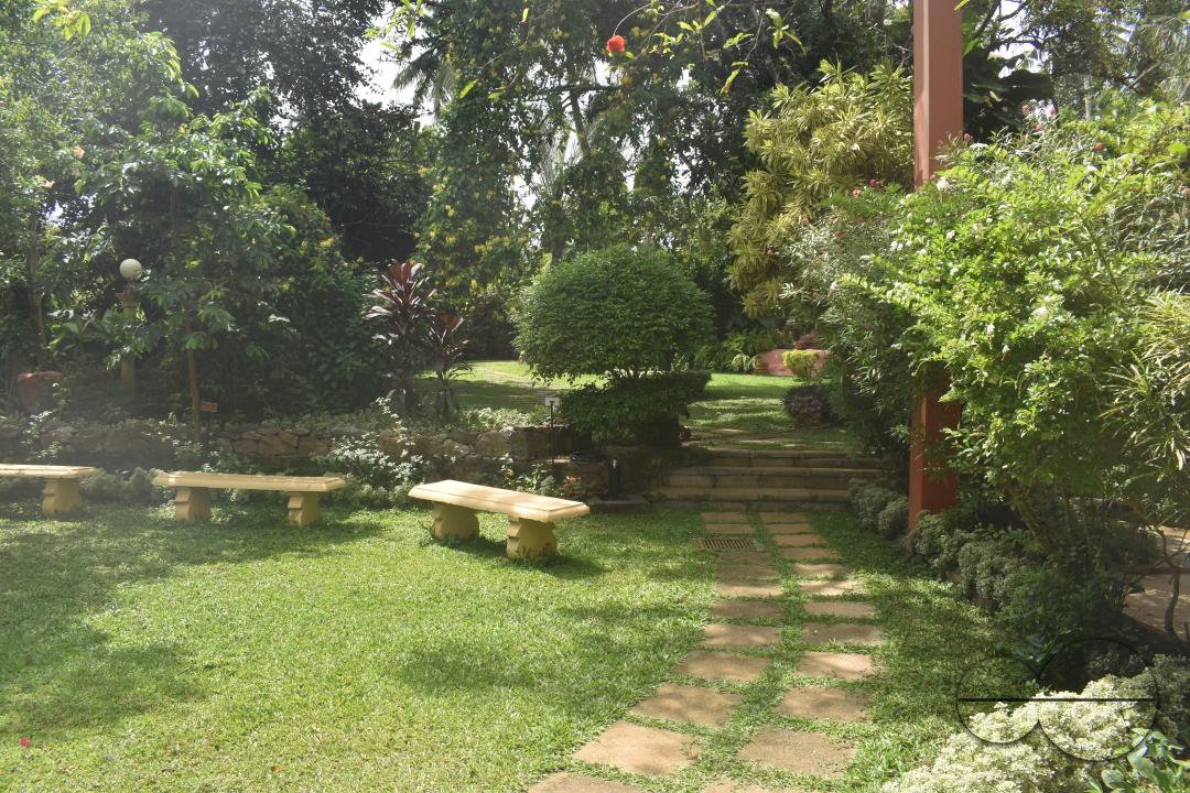 MWC049178