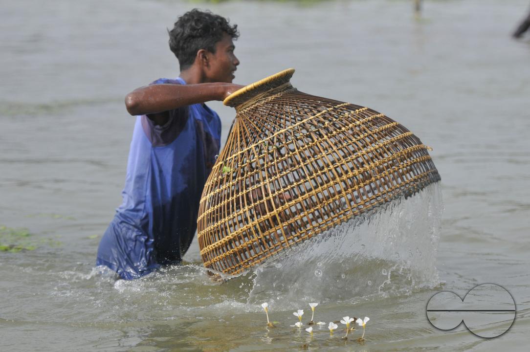 Rural people armed with Bamboo fish traps and handmade fishing nets take part in celebrating in a 100-year winter polo bawa fishing festival at the Gowahori beel of Biswanath upazila in Sylhet