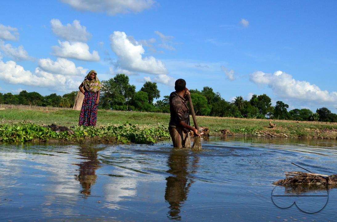 Farmers in Pabna have found an added income from selling jute sticks from jute fibres in the area, thanks to the rise of its commercial use