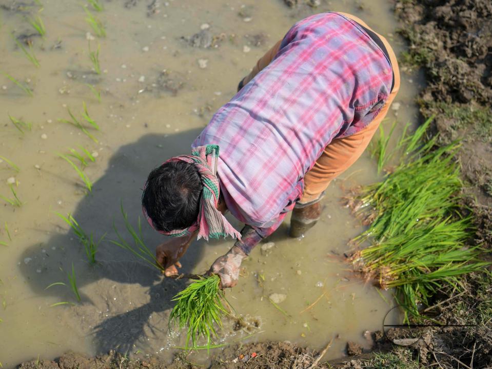 MWC045589