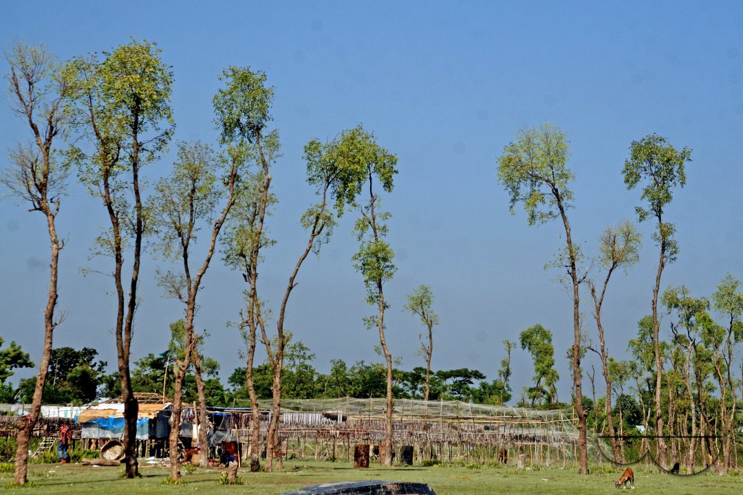 MWC012943