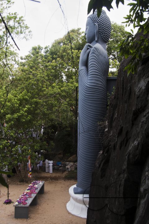 MWC020293