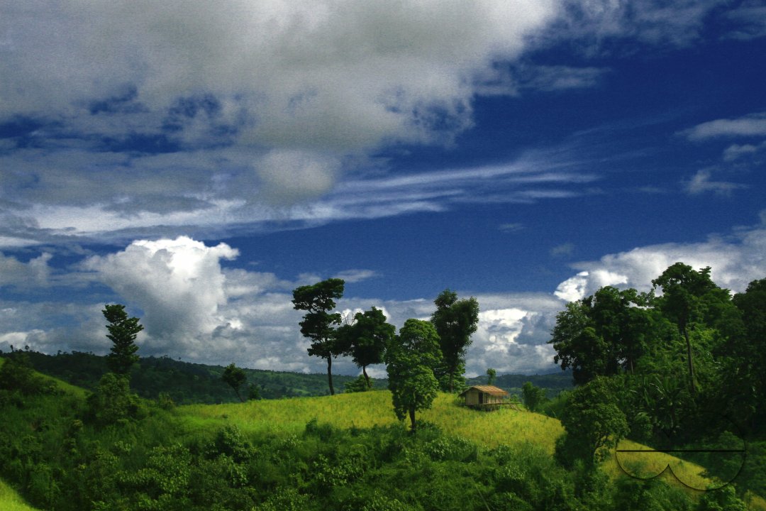 MWC004380