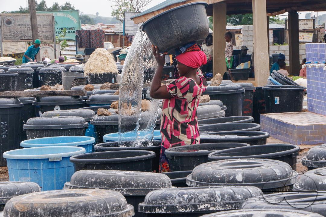 Females in Abuja are struggling and making strides in a local cassava processing factory under difficult conditions to produce flour as they wash out chaff from fermented cassava