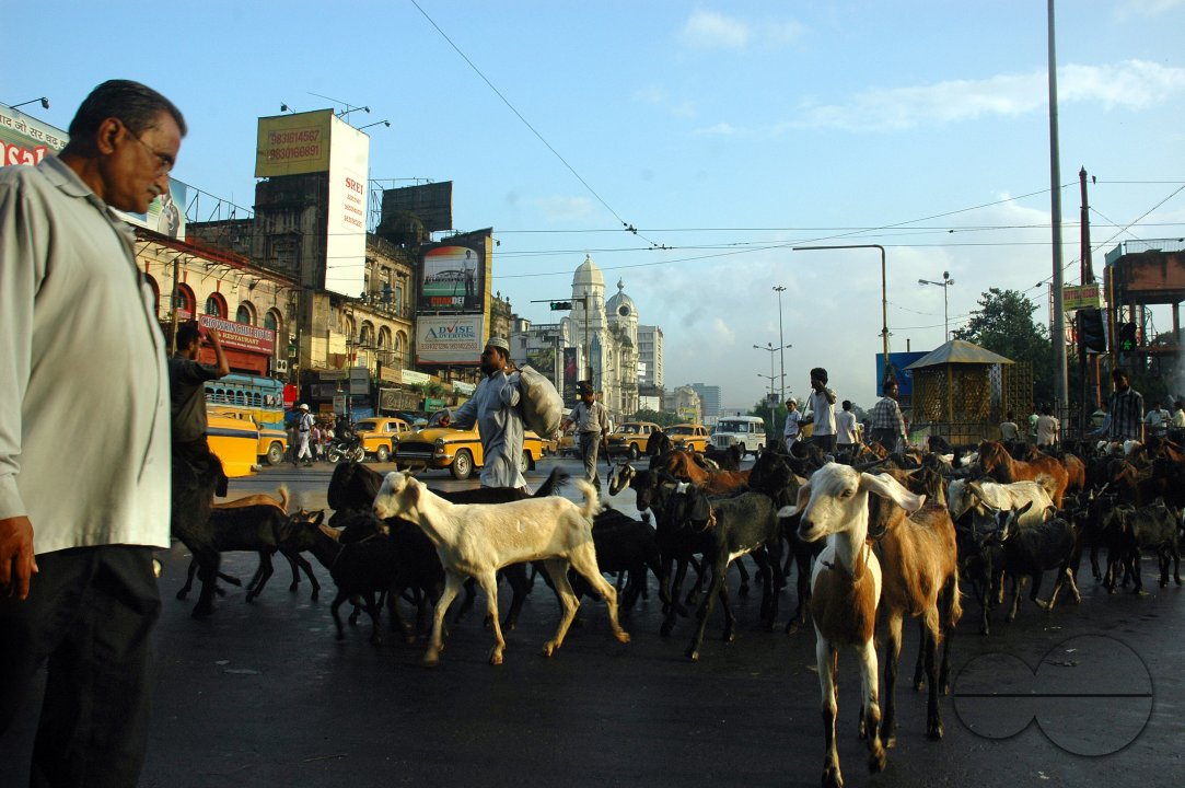 MWC011120
