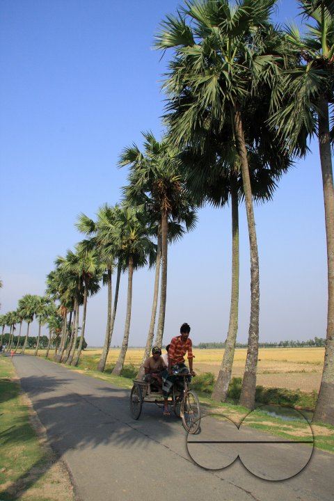 MWC020636
