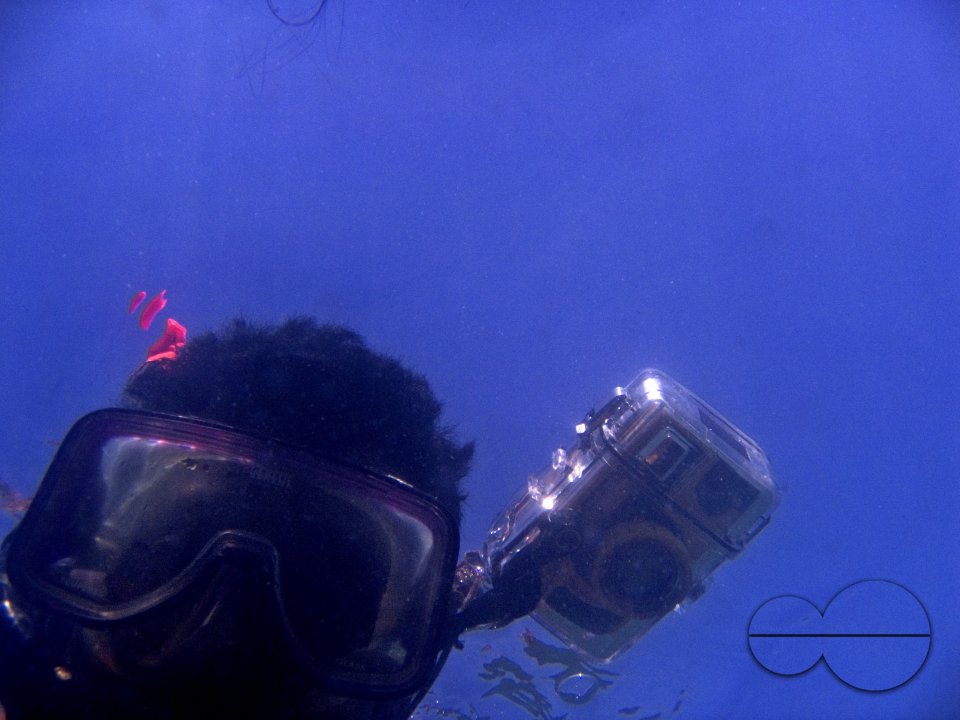 Looking through Fish-Eyes