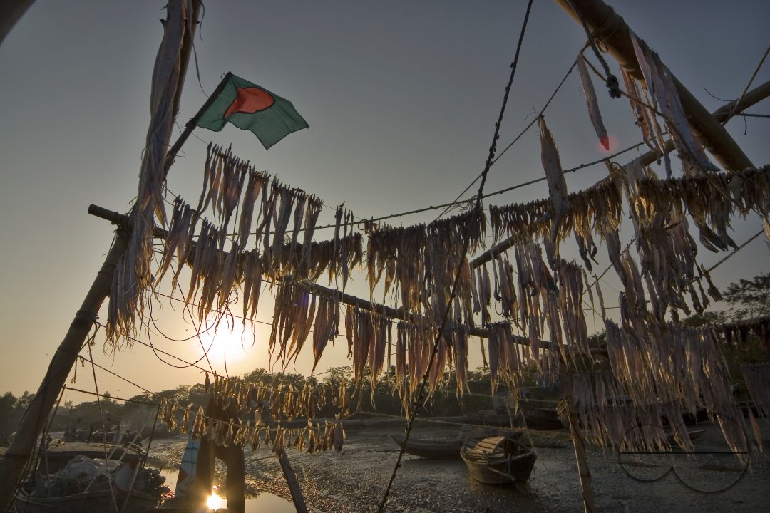 Dhal Char: An Island of Illusion ??