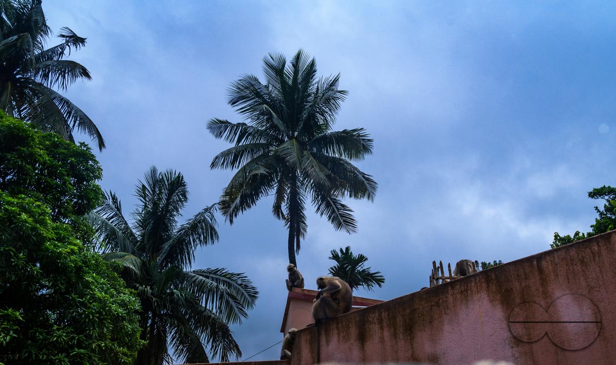 The night sky shows stormy winds with thick black clouds