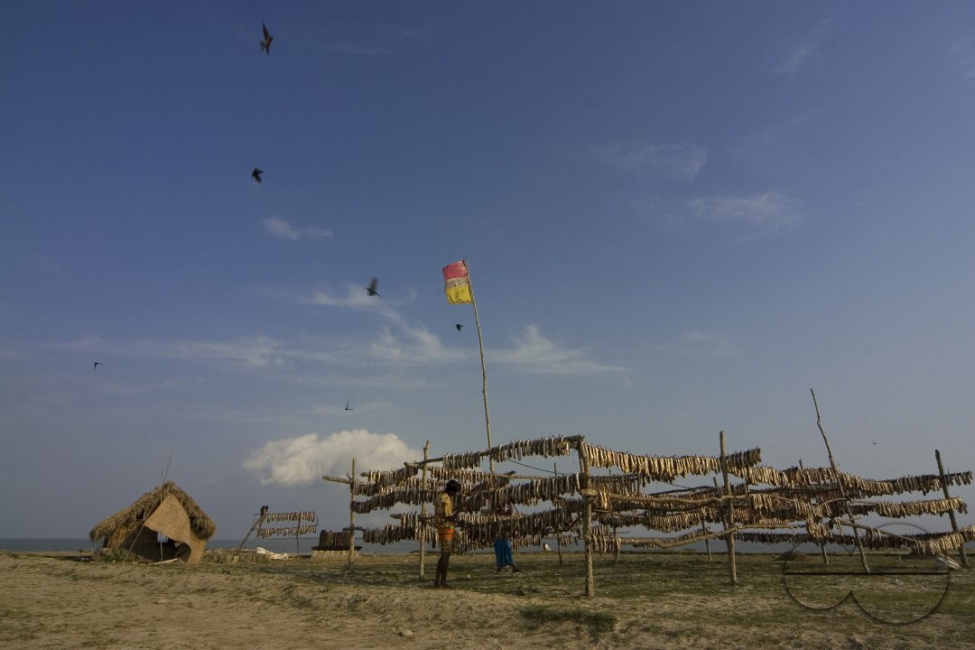 Dhal Char: An Island of Illusion ??