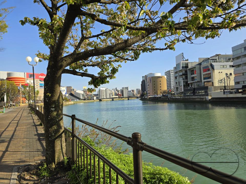 Apartments in the Haruyoshi, Chuo Ward in Fukuoka, line the bank of the Hakata river