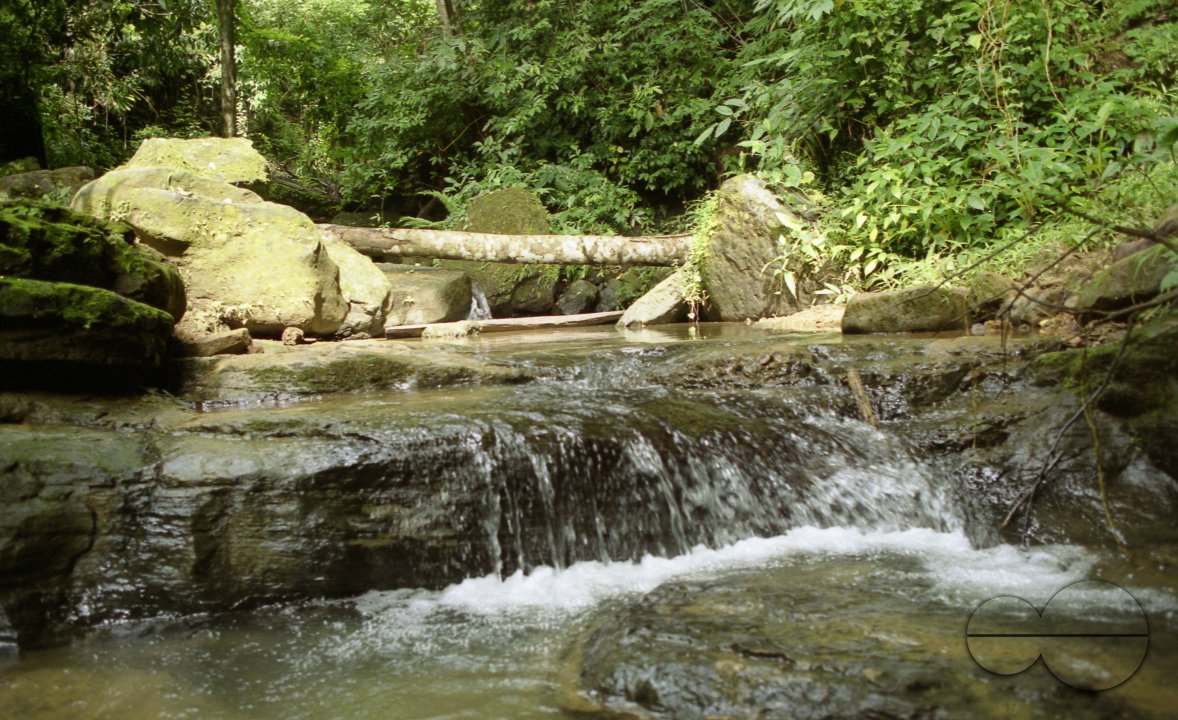 MWC003764