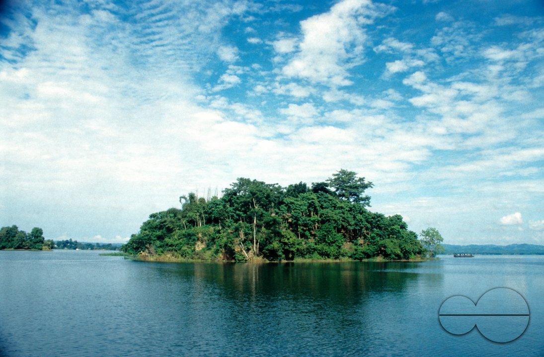 MWC003798