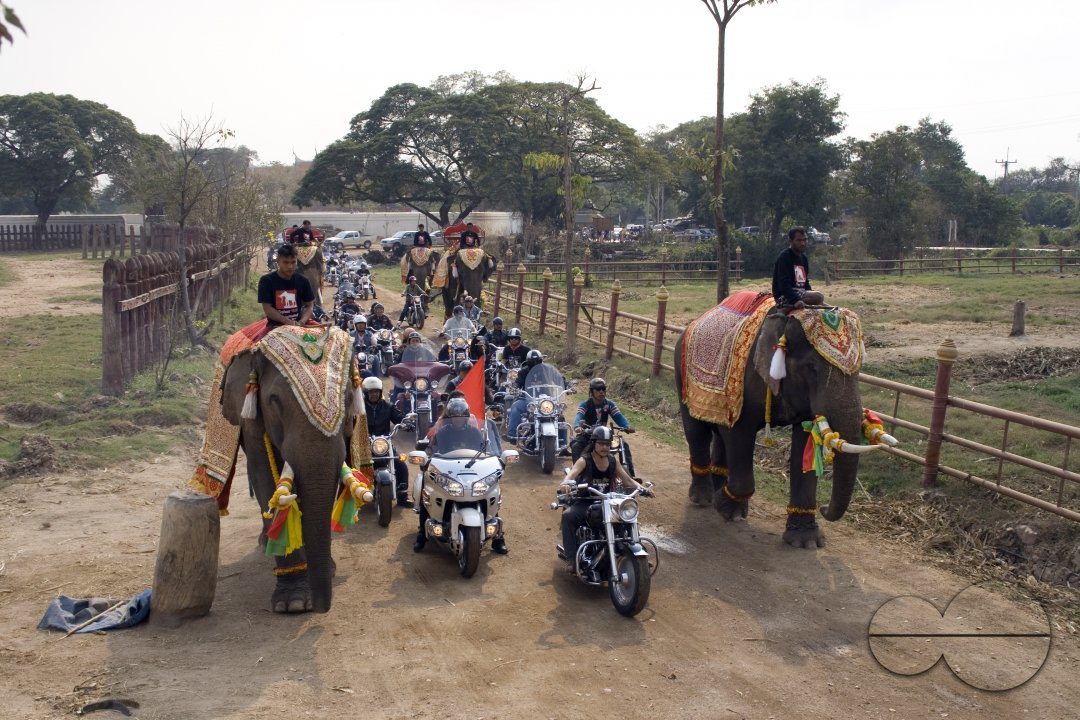 MWC011619
