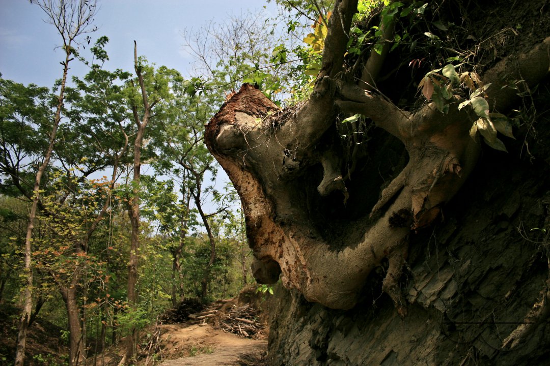Endanger Hill