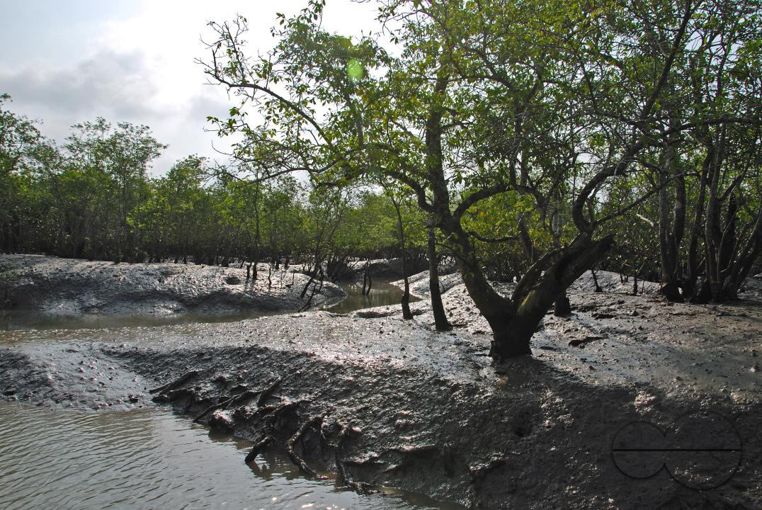 MWC059147