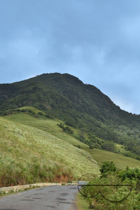 MWC031496