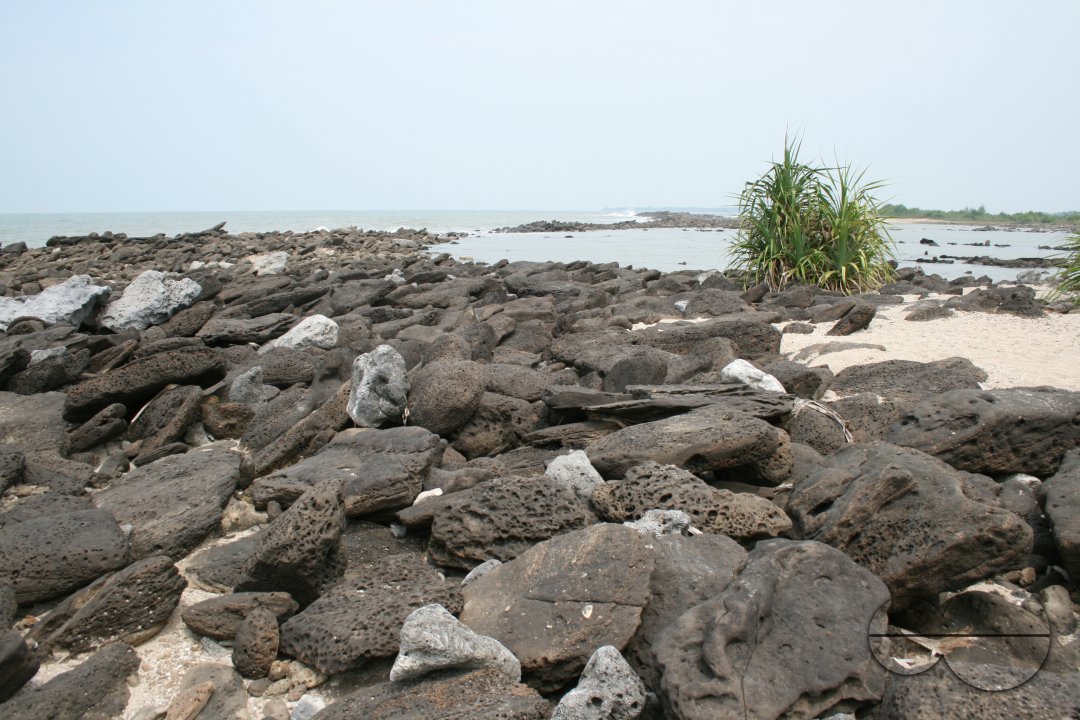 MWC004265