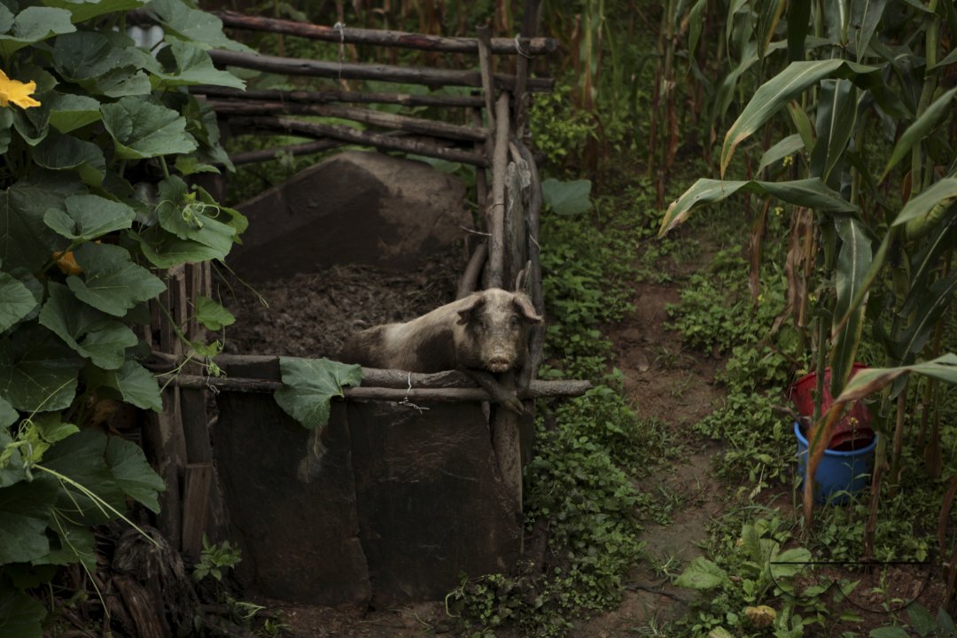 Nepal