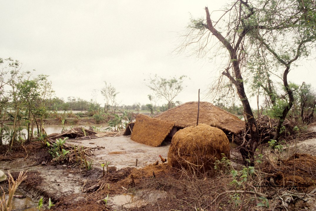 MWC004478