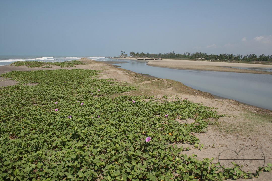 MWC004253