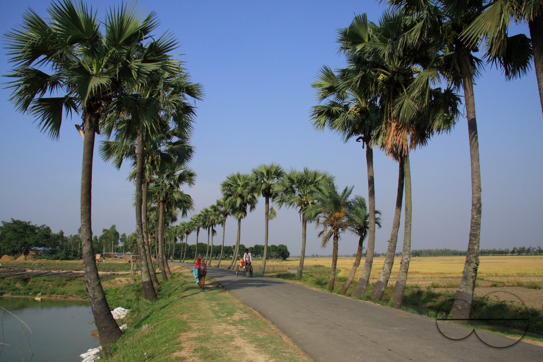 MWC020635