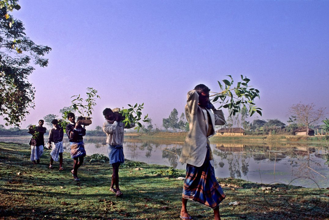 MWC004198