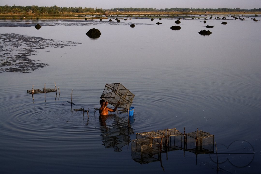 Palanquin_Bangladesh