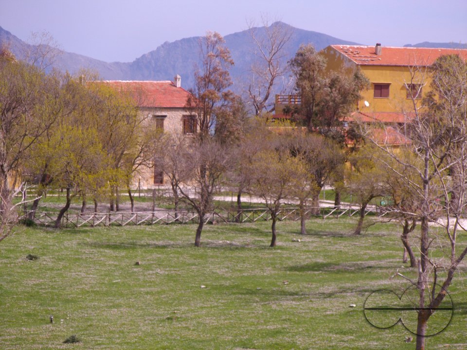 MWC036382