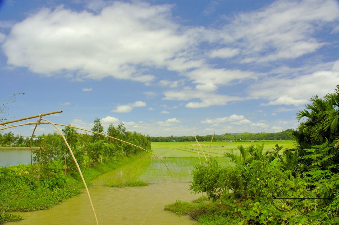 MWC003865
