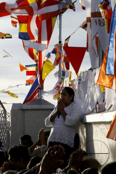 MWC020409