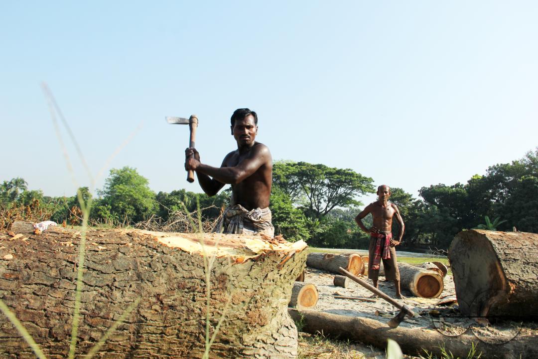 Men in Bangladesh cutting logs